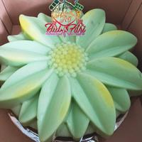 Gambar Hampers Lebaran Puding parcel ramadhan - Pandan Gulmer dari NH Kitchen jakarta undefined 2 Tokopedia