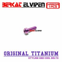 Gambar Baut Titanium SMALL HEAD M5x20 Drat 8 Panjang 20mm 2cm - Silver dari Berkat_Elvipen undefined 3 Tokopedia