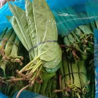 Gambar [TERMURAH] Daun Sirih Segar per Ikat / Sirih / Daun Sirih dari Bangun Store Medan undefined 1 Tokopedia
