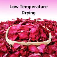 Gambar 50g 100g 200g kelopak bunga mawar kering rose petal Bath Spa bunga - 50g dari Toko Plus ID undefined 5 Tokopedia