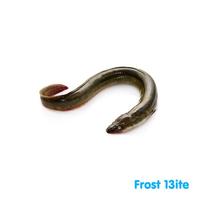 Gambar Ikan Belut / Welut / Lindung / Eel Fish - 500 gram dari Frost Bitess undefined 1 Tokopedia