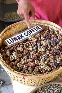 Gambar [CELEBES COFFEE] Kopi Arabika Luwak Bubuk/Biji/Espresso 250 gram - Kopi Biji, 250 gram dari Persatu.one undefined 2 Tokopedia