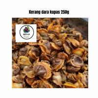 Gambar kerang dara kupas segar - 1/2 dari 07fresh undefined 1 Tokopedia