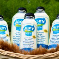 Gambar Susu Raw Goat Milk untuk Anjing dan Kucing - Pouch 1000ml dari Joey dPug Shop undefined 1 Tokopedia