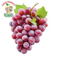 Gambar Buah Anggur Segar 500gr dari FRUIT MARKET BEKASI undefined 1 Tokopedia
