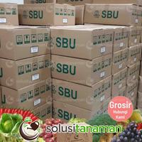 Gambar Benih Sawi Pahit Mustard 20g Biji Tanaman Sayuran Bibit Ta Fung Tafung dari Solusi Tanaman undefined 4 Tokopedia