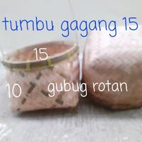 Gambar Tumbu Bambu Gagang 15 dari gubug rotan undefined 2 Tokopedia