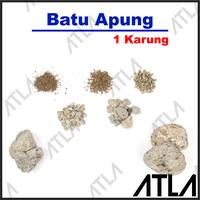 Gambar Batu Apung 1 Zak Filter Aquarium Aquascape Media Tanam Kerikil Pumice dari Atla Agrikultur undefined 1 Tokopedia