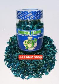 Gambar Udang carophyll blue biru untuk pakan predator channa pulchra andrao - Udang merah red dari JJ FARM shop undefined 1 Tokopedia
