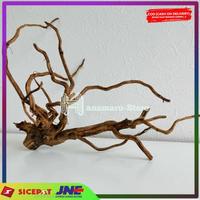 Gambar Akar Pohon Asem Tangkringan Iguana, Burung dan Aquascape dari Hanamaru-Store undefined 1 Tokopedia