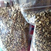 Gambar biji kopi mentah dari suka suskes undefined 4 Tokopedia