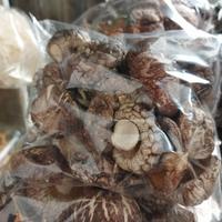Gambar jamur shitake kering 100gr dari Primasari_bpn undefined 1 Tokopedia