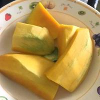 Gambar bibit mangga kiojay dari toko-ilhami undefined 2 Tokopedia