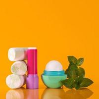 Gambar EOS Super Soft Shea Lip Balm Marshmallow & Triple Mint 2 Packs dari Belle Bio undefined 1 Tokopedia