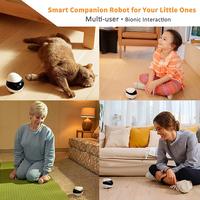 Gambar Enabot Ebo SE Moving Home Security IP Camera Pet Robot 1080P - Wifi dari Mijia Aqara undefined 5 Tokopedia