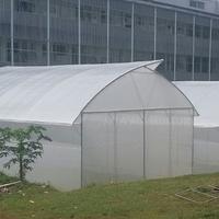 Gambar PLASTIK UV 7x4METER 200MICRON TANPA SAMBUNGAN Cocok untuk Green House Kolam Ikan Atap Cor Jemur Panen Pagar Tutup Bata & Kebun Tanaman Budidaya Hidroponik dari afnanstore12 undefined 2 Tokopedia