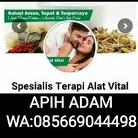 Gambar Pengobatan Terapi Alat Vital Di Subang 085669044498 dari Pengobatan Alat Vital Padang 085669044498 undefined 1 Tokopedia