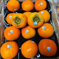 Gambar buah kesemek import persimon persimons manis garing korea australia - KOREA dari Asan Buah Segar undefined 1 Tokopedia