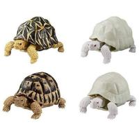 Gambar Bandai Gashapon Kame Tortoise Turtle Figure Kura-Kura Darat SET of 4pc - Instar Albino dari Diecast Land_NEW undefined 2 Tokopedia