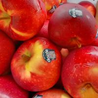 Gambar BUAH APEL DAZZLE NEW ZEALAND PREMIUM GARING MANIS FRESH - 1 KG dari Asan Buah Segar undefined 4 Tokopedia