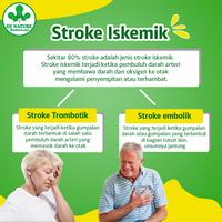 Gambar Obat Gejala Stroke Ringan dan Berat Syaraf kejepit Hipertensi DeNature dari DE NATURE PUSAT OFFICIAL undefined 5 Tokopedia