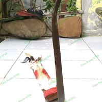 Gambar tangktin / Latok Tua Dayak / Mandau Bengkok Dayak dari Toko Rejeki 5758 undefined 4 Tokopedia