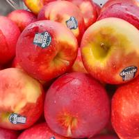 Gambar BUAH APEL DAZZLE NEW ZEALAND PREMIUM GARING MANIS FRESH - 1 KG dari Asan Buah Segar undefined 5 Tokopedia