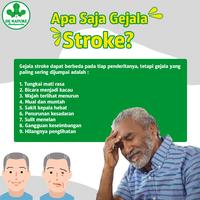 Gambar Obat Gejala Stroke Ringan dan Berat Syaraf kejepit Hipertensi DeNature dari DE NATURE PUSAT OFFICIAL undefined 3 Tokopedia
