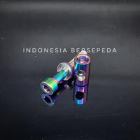 Gambar Titanium Bolt M5x30mm For Seatpost - Baut Titanium Seatpost Thomson - Rainbow dari Indonesia Bersepeda undefined 4 Tokopedia