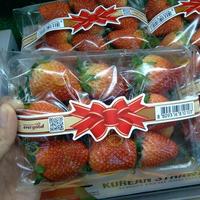 Gambar buah strawberry korea 1 pack dari ALFIAH SMART undefined 1 Tokopedia