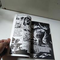 Gambar original komik Mahabarata penyamaran Pandawa jilid 6 dari FREN BOOKSTORE undefined 4 Tokopedia