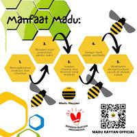 Gambar MADU HUTAN FLORES NTT ASLI 100% dari Madu Rayyan undefined 3 Tokopedia