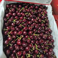 Gambar Buah Cherry Import Premium | Fresh Cherries import - 1kg dari DR Buah Segar undefined 4 Tokopedia