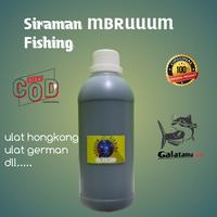 Gambar SIRAMAN ULAT HONGKONG MBRUUUM FISHING dari Iman Fishing undefined 1 Tokopedia