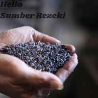 Gambar Beras Ketan Hitam PK (Pecah Kulit) 1 Kg dari Hello Sumber Rezeki undefined 1 Tokopedia