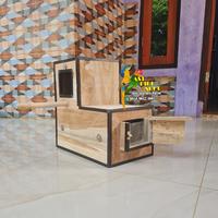 Gambar Glodok sunconure nuri full list penempatan kanan dari AST bird shop undefined 1 Tokopedia
