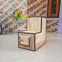 Gambar Glodok sunconure nuri full list penempatan kanan dari AST bird shop undefined 4 Tokopedia