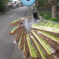 Gambar Bako/Mako/Tembakau Scotch Premium merk Asli Lombok 20gr dari ANEKAolshop_mataram undefined 2 Tokopedia