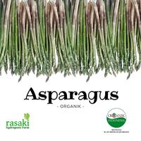 Gambar sayur asparagus segar organik 100gr dari Rasaki hydrofarm undefined 2 Tokopedia