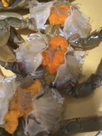 Gambar KEPITING TELUR SEGAR 1KG - 1kg isi 6 dari ceceputrisiregar undefined 3 Tokopedia