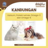Gambar Cat Milk Susu Kucing kitten Anjing Kelinci Adult MilkyVar 11 SACHET dari PT Tri Daya Varuna undefined 4 Tokopedia