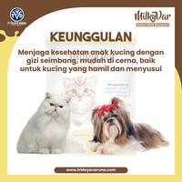 Gambar Cat Milk Susu Kucing kitten Anjing Kelinci Adult MilkyVar 11 SACHET dari PT Tri Daya Varuna undefined 3 Tokopedia