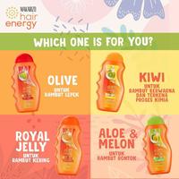 Gambar Shampo Makarizo Hair Energy / Makarizo Conditioning Shampoo 300ml - Aloe 330ml dari AIOVA undefined 3 Tokopedia