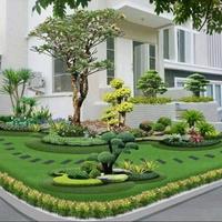 Gambar dekorasi taman / pembuatan / taman rumput / kamboja bali / bonsai dari AdawiyahFlora undefined 1 Tokopedia