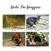 Gambar MC- Kartu pos kartupos Fauna aseli Indonesia Animal Postcard - Kang linca dari freesia 99 undefined 4 Tokopedia
