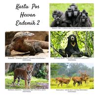 Gambar MC- Kartu pos kartupos Fauna aseli Indonesia Animal Postcard - Kang linca dari freesia 99 undefined 2 Tokopedia