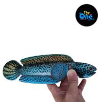 Gambar Mainanan Channa Boneka Chana BARCA dari the one petstore undefined 1 Tokopedia