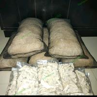 Gambar PAKET 3Kg JARING KEMASAN 7Kg KARANG JAHE MEDIA FILTER KOLAM dari ZepAquatic undefined 3 Tokopedia
