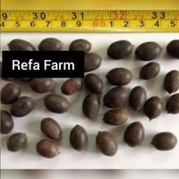 Gambar Biji Benih Tanaman Lotus Teratai Blue Es F1 Import/ Lotus Langkah dari Refa Farm Shop undefined 2 Tokopedia
