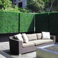 Gambar Rumput Dolar Sintetis 60x40cm - Daun Sintetis Dolar - Rumput Dinding dari Goodlight.sby undefined 3 Tokopedia